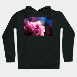 You Brighten up My Day Hoodie